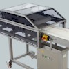 Horizontal Slicer HS 250